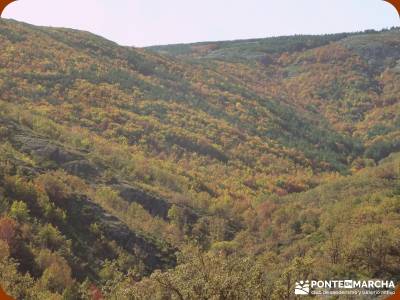 Parque Natural de Tejera Negra - Cantalojas - Guadalajara - Sierra de Ayllón;senderismo vip